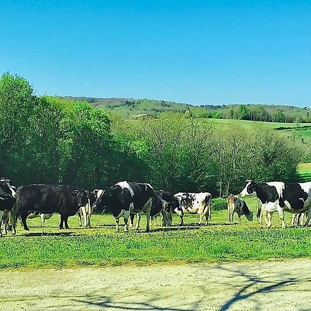 « Le Vieux Hangar » Gite A La Ferme Le Buisson-de-Cadouin Exterior foto