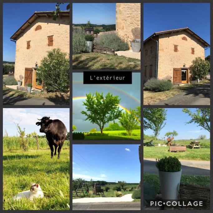« Le Vieux Hangar » Gite A La Ferme Le Buisson-de-Cadouin Exterior foto